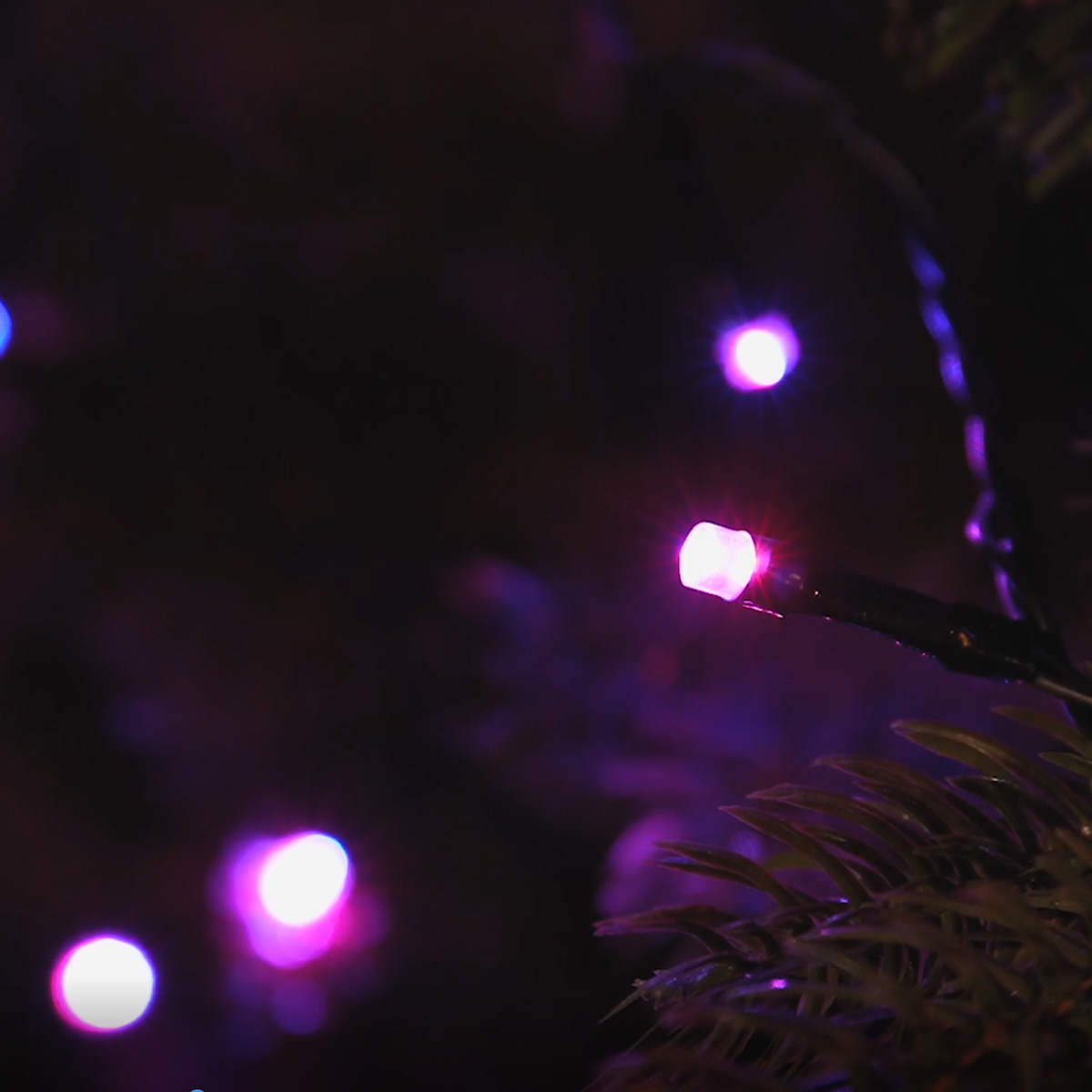 LED Lichterkette - 200 warmweiße und farbwechselnde LED - Fernbedienung - Timer - L: 19,9m LED Lichterkette - 200 warmweiße und farbwechselnde LED - Fernbedienung - Timer - L: 19,9m