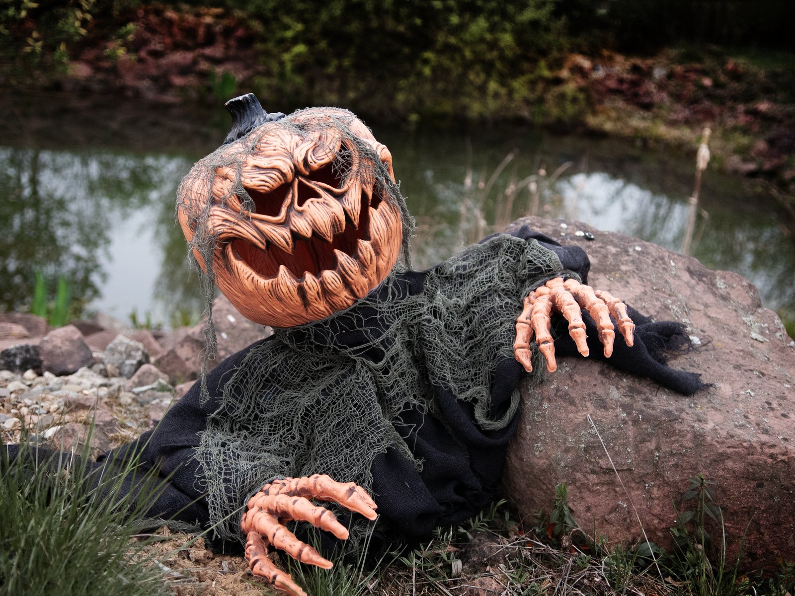 Kürbismonster - bewegte 50cm Halloween Figur mit Licht und Geräuscheffekten - Sensor