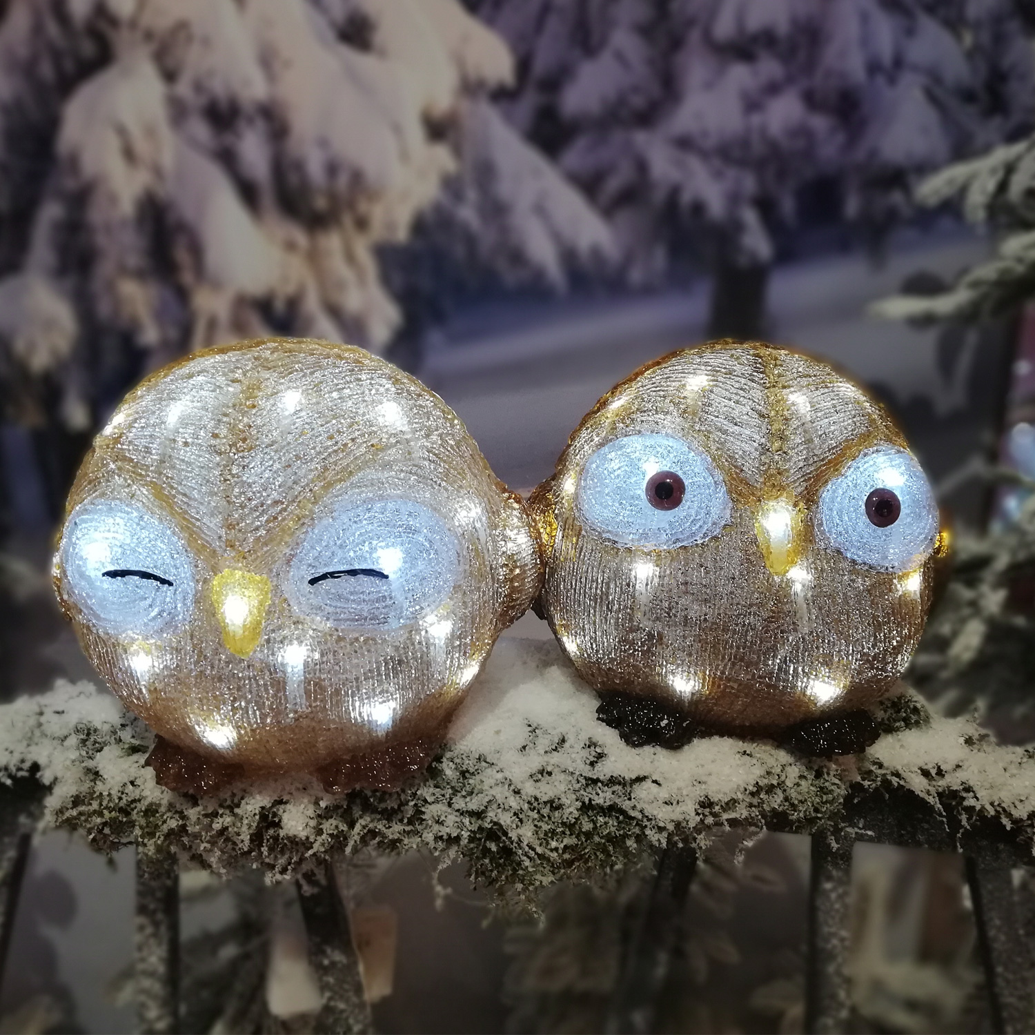 LED Eule mit Augen zu - Acryl Tierfigur - 30 kaltweiße LED - H: 21cm - Timer - Batteriebetrieb