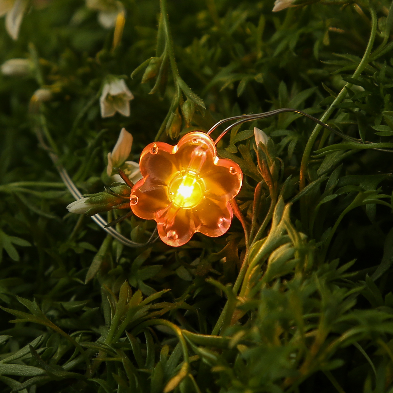 LED Drahtlichterkette Blume - 20 warmweiße LED - L: 1,9m - Batteriebetrieb - mehrfarbig