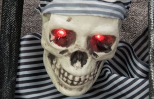 Piraten