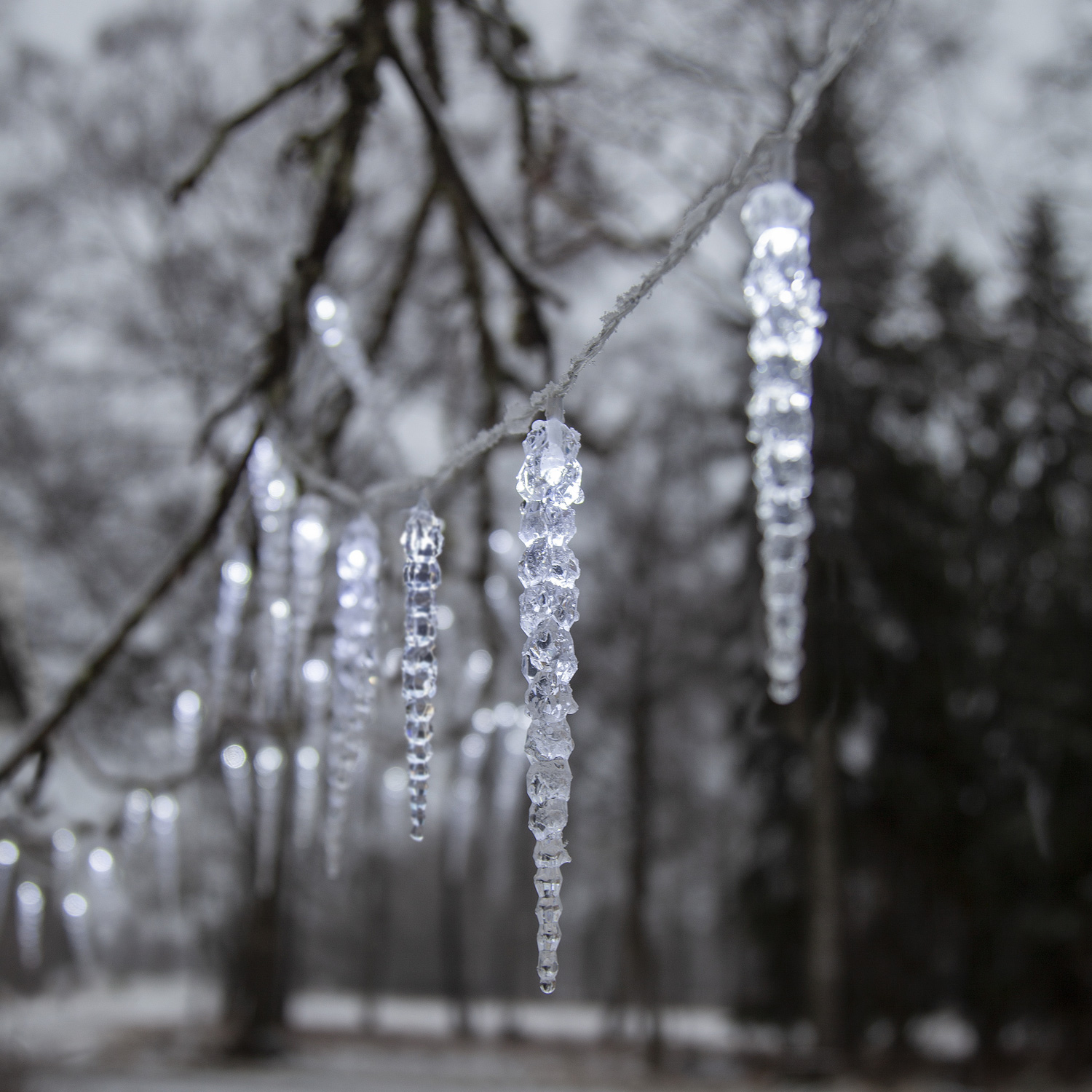 LED Lichterkette Eiszapfen - 40 Eiszapfen - 8 Lauflichtfunktionen - L: 6m - Timer - für Außen LED Lichterkette Eiszapfen - 40 Eiszapfen - 8 Lauflichtfunktionen - L: 6m - Timer - für Außen