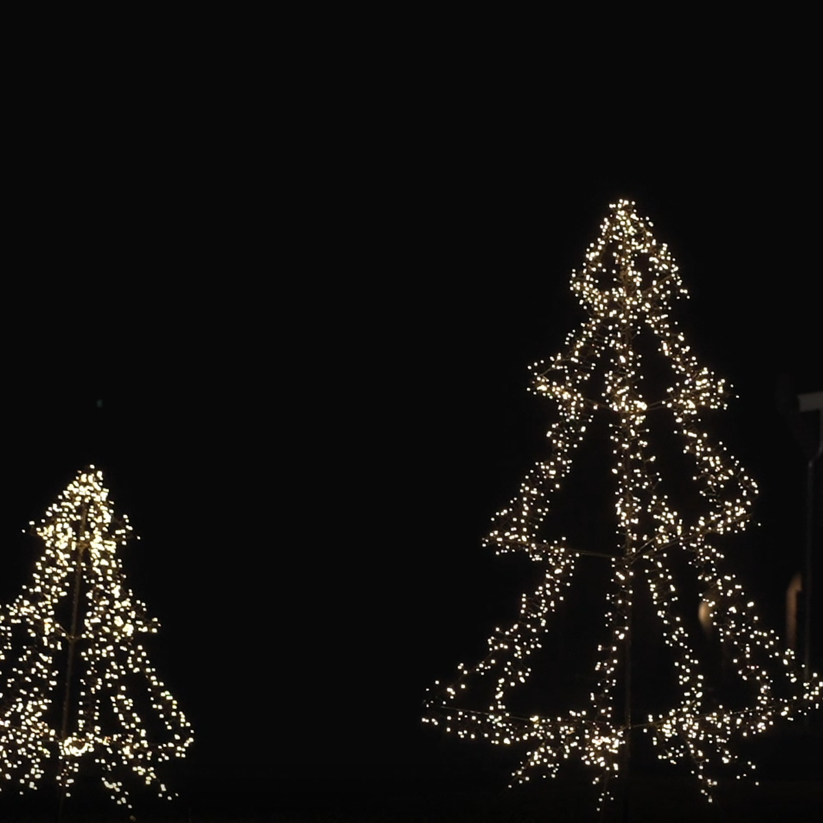 LED Outdoor Weihnachtsbaum - 1200 warmweiße LED - H: 2m - Dimmer - Timer - aufklappbar - schwarz