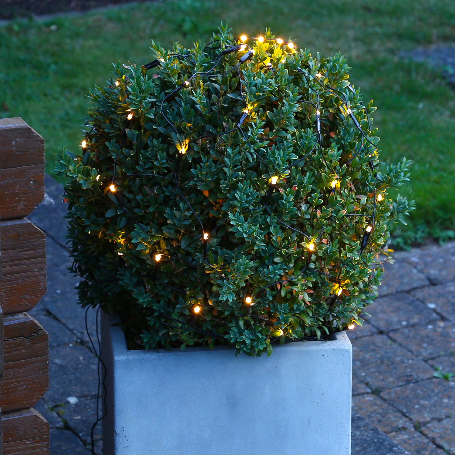 LED Lichternetz für Buchsbaum - Kugelnetz - 60 warmweiße LED - 24V Außentrafo - D: 35cm - grün LED Lichternetz für Buchsbaum - Kugelnetz - 60 warmweiße LED - 24V Außentrafo - D: 35cm - grün