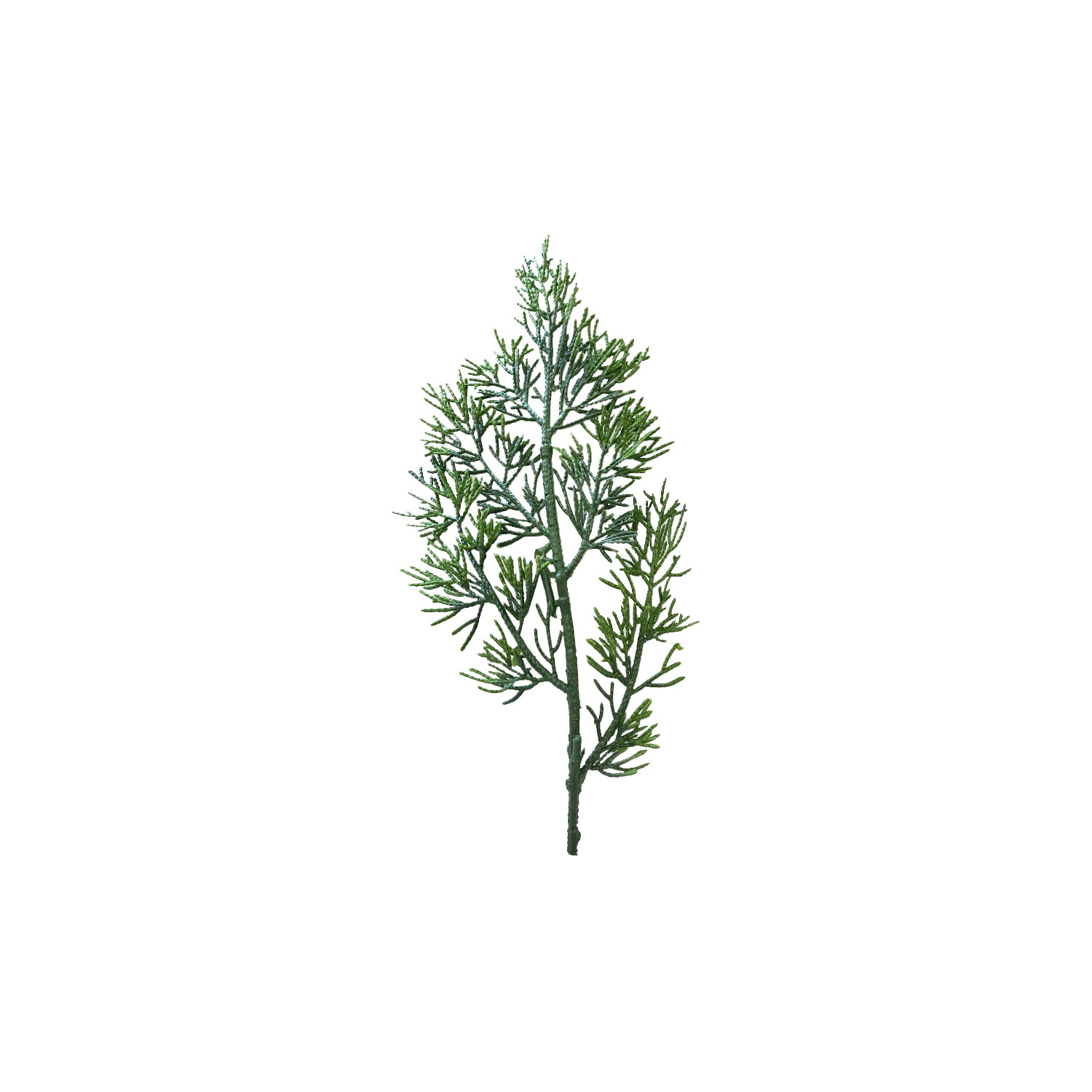 LED Tannenkranz THUJA - 60 warmweiße LED - D: 60cm - Timer - Batterie - für Außen - grün