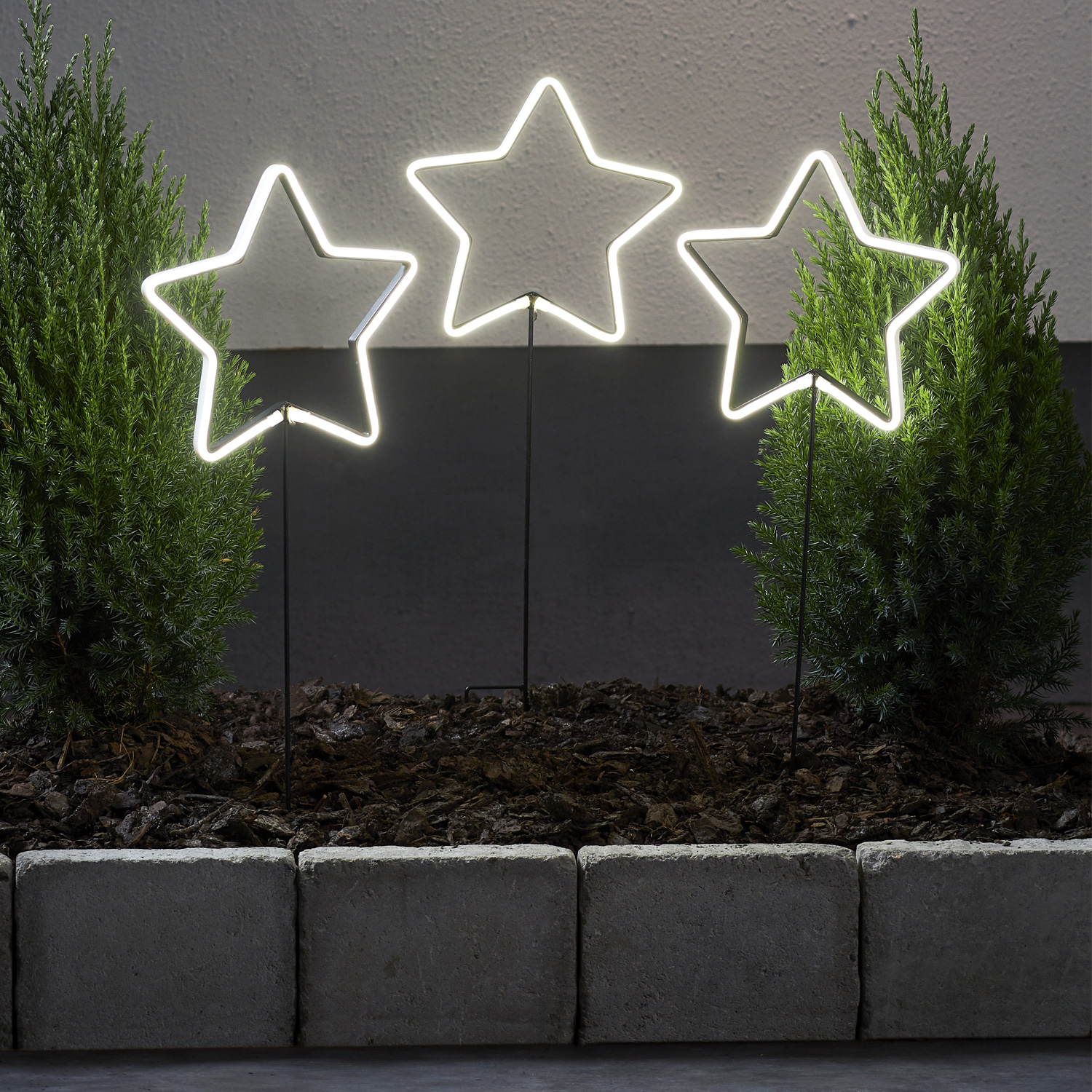 LED Lichtersterne Neonstar -3er Set - stehend - H: 60cm - 216 weiße LED  - Outdoor - weiß