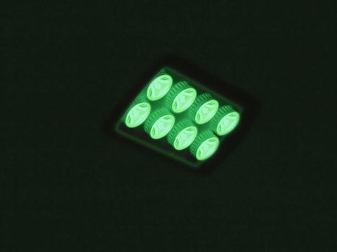 EUROLITE LED IP FL-8 | 30° | 8x1W | IP56 | grün - Fassandenstrahler - Flutlicht - Baumstrahler - Scheinwerfer
