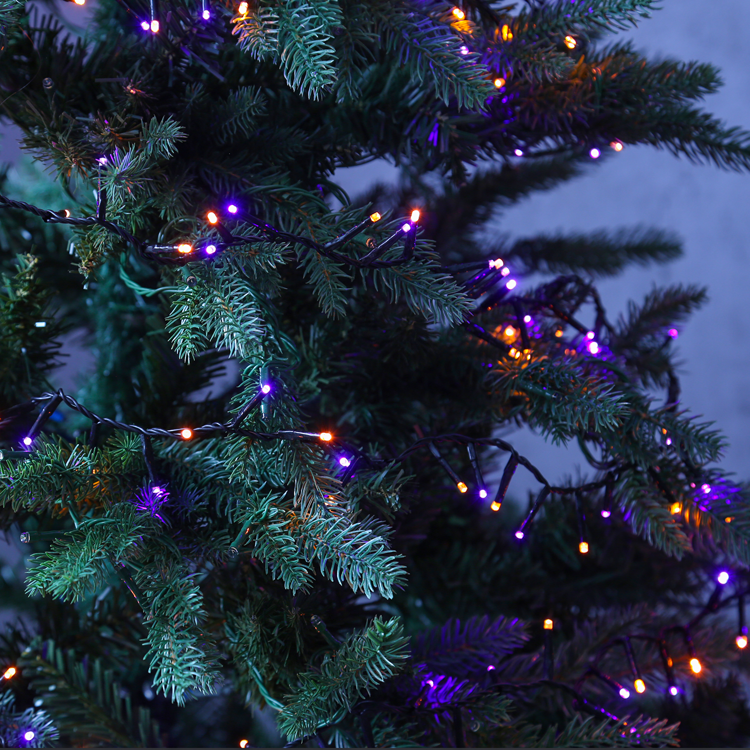 LED Lichterkette Compact Twinkle - 750 lila-/orange LED - L: 16m - 8 Funktionen - Timer - Außentrafo LED Lichterkette Compact Twinkle - 750 lila-/orange LED - L: 16m - 8 Funktionen - Timer - Außentrafo