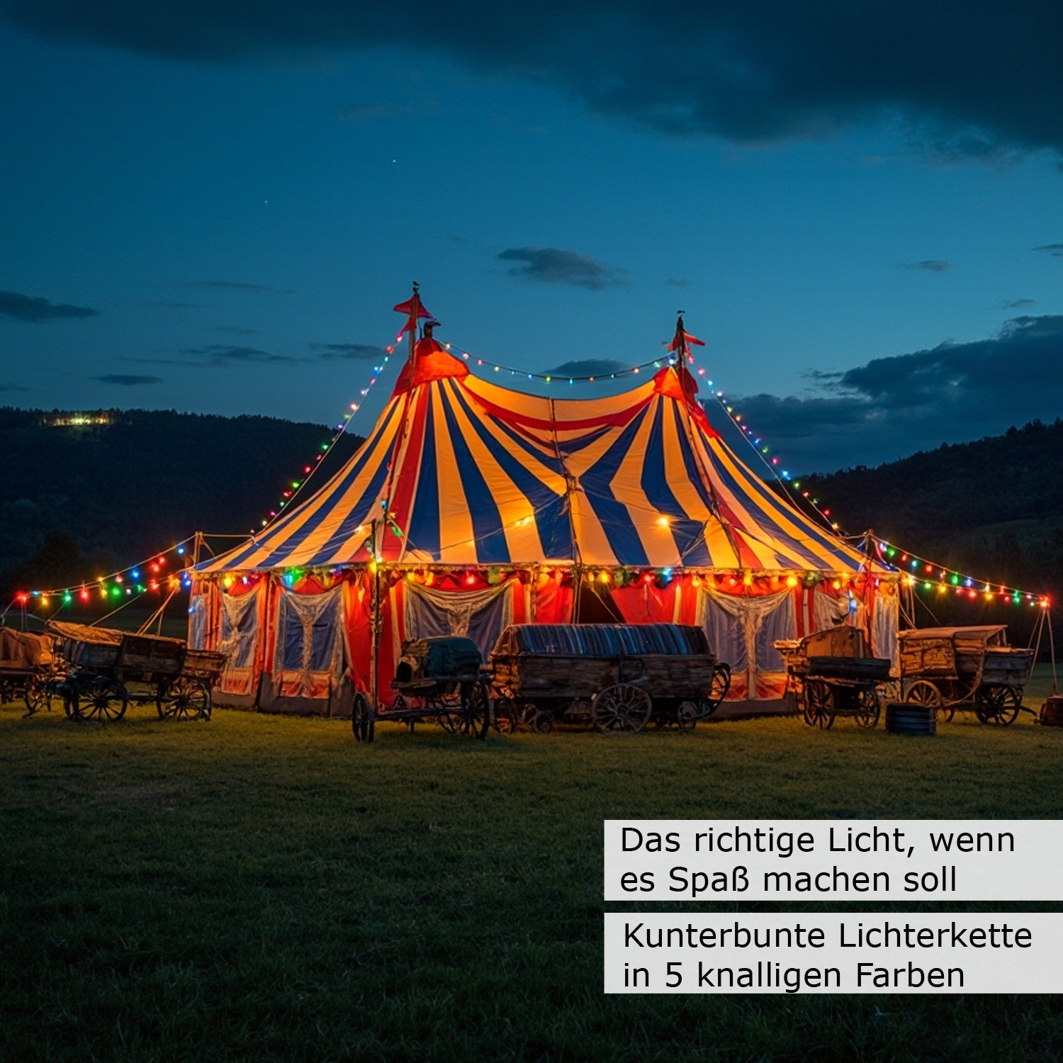 Illu-/Partylichterkette 20m - Außenlichterkette schwarz - Made in Germany - 30 bunte LED Kugellampen