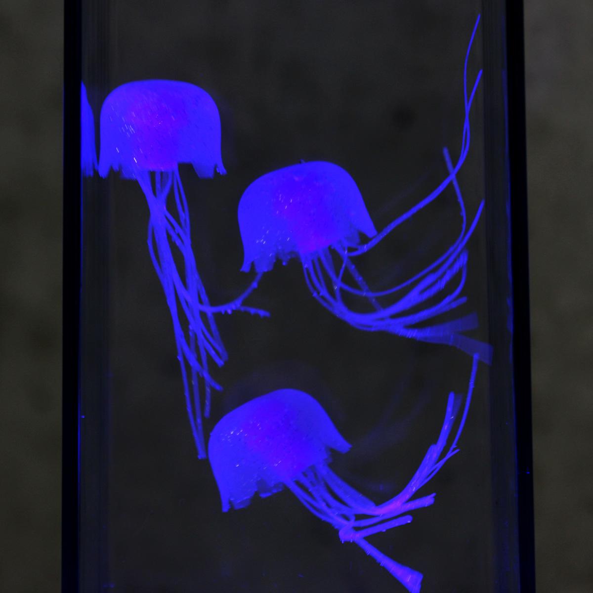 Jellyfish Lampe BLUE - Dekoleuchte - USB + Batteriebetrieb (3 x schwimmende Quallen) - blau Jellyfish Lampe BLUE - Dekoleuchte - USB + Batteriebetrieb (3 x schwimmende Quallen) - blau