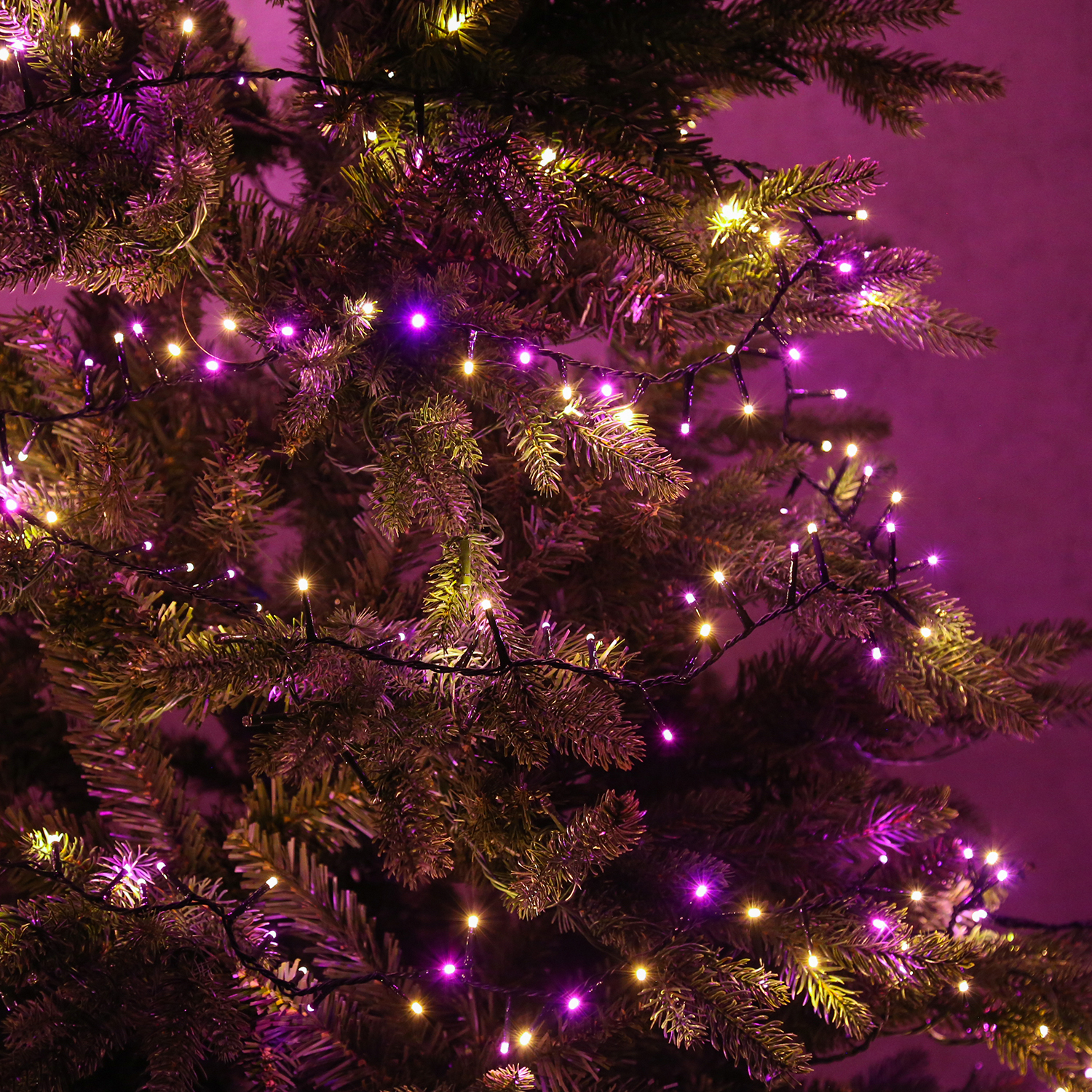 LED Lichterkette Compact Twinkle - 750 pink-/bernstein LED - L: 16m - 8 Funktionen - Timer - Trafo LED Lichterkette Compact Twinkle - 750 pink-/bernstein LED - L: 16m - 8 Funktionen - Timer - Trafo