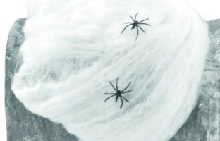 Insekten