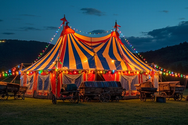 Illu-/Partylichterkette 5m - Außenlichterkette schwarz - Made in Germany 5x bunte LED Kugellampen Illu-/Partylichterkette 5m - Außenlichterkette schwarz - Made in Germany 5x bunte LED Kugellampen