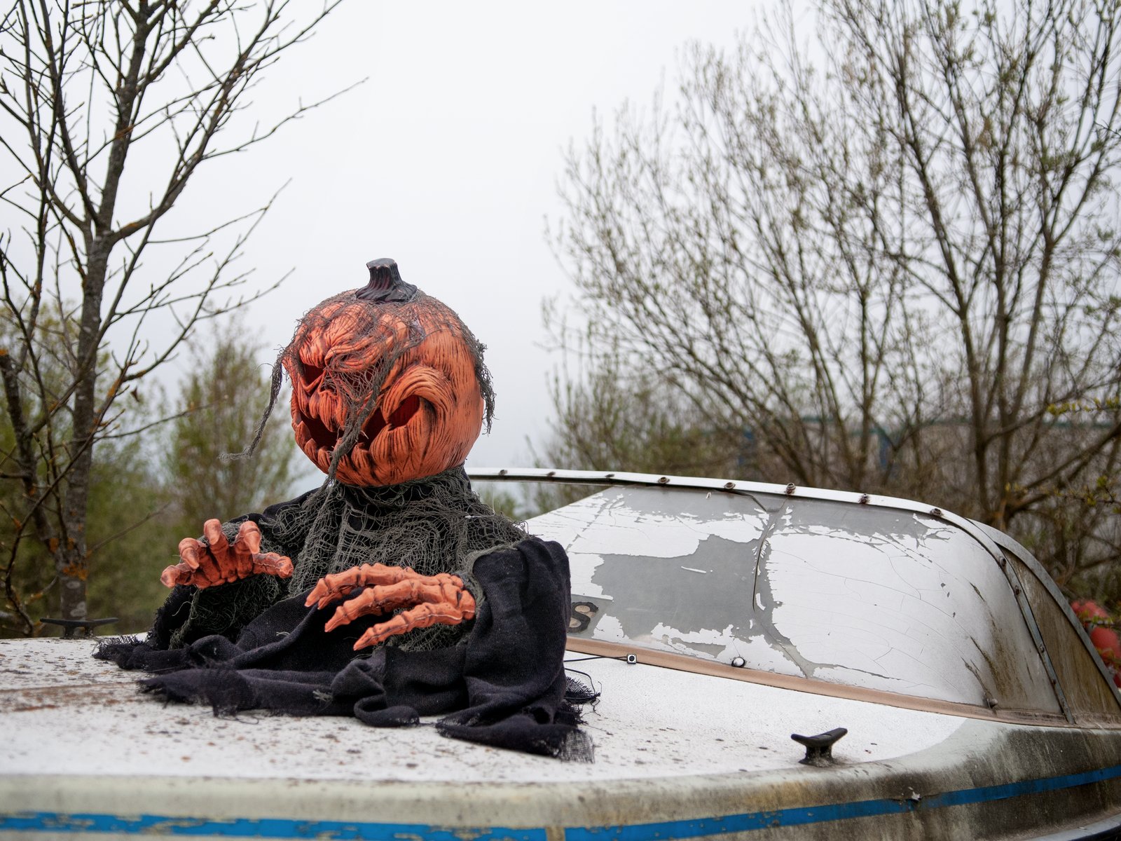 Kürbismonster - bewegte 50cm Halloween Figur mit Licht und Geräuscheffekten - Sensor